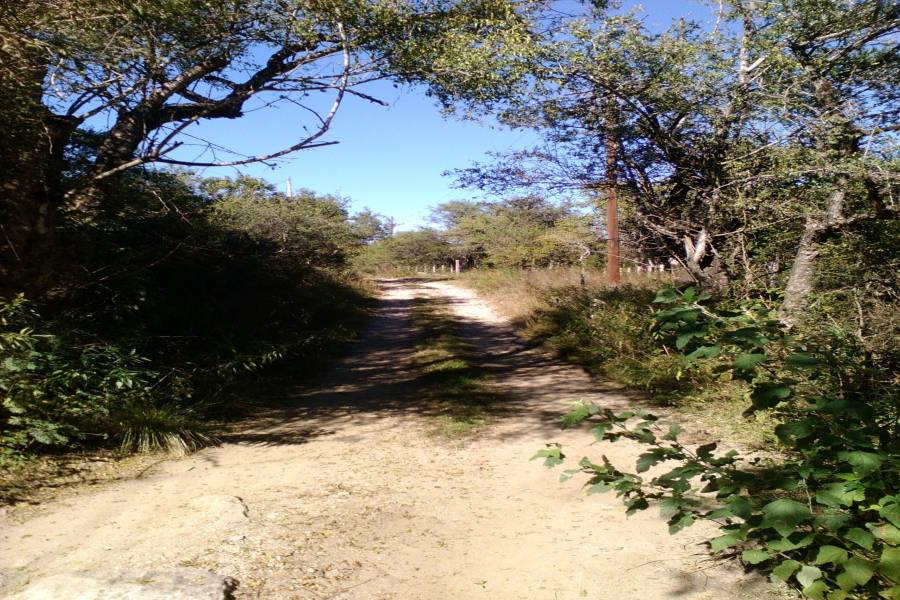 Loma Bola,Córdoba,Argentina,Lotes-Terrenos,1337